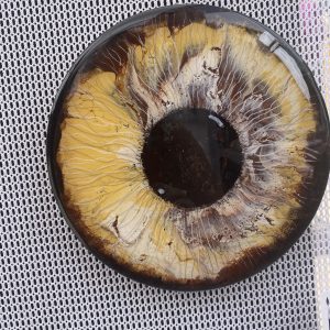 Brown Eye on Canvas 8 inch round $55.00 Brown Eye on Canvas 8 inch round $55.00