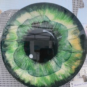 Green Eye on Canvas 10 inch round $65.00 Green Eye on Canvas 10 inch round $65.00